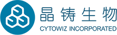 申浩模型